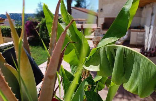 VILLA FALCONERA APARTAMENTS, GANDIA a las faldas de la montaña RELAX & PETS - Foto 59