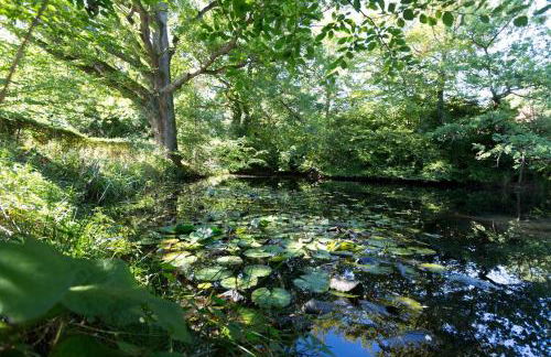 Ravenclaw Hall - Foto 7