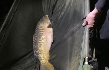 Lakeside Fishing Lodges - Foto 33