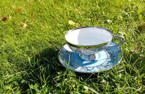 Dwór Podstolice - House of Rosenthal - Foto 70