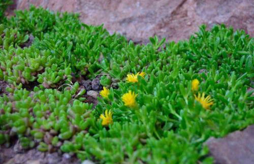 Casa Rural Bigotes - Foto 28