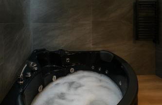 Jungle Room Strasbourg - Évasion Tropicale - Sauna Jacuzzi Balnéo - Foto 8