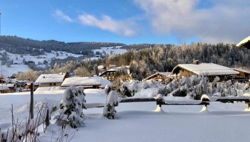 Le Chalet 138 Megève séjour pour 8 confort espace charme calme - Photo 2, Garden