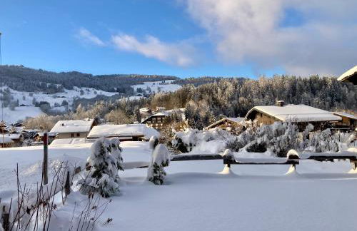 Le Chalet 138 Megève séjour pour 8 confort espace charme calme - Foto 2