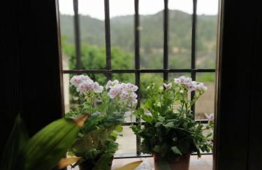 Casa Rural Ladrón de Semillas - Foto 25