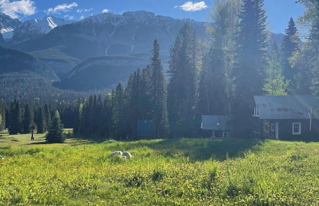 Rustic Beaverfoot Lodge Woodland Cabin - Photo 10