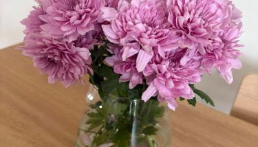 The Bungalow at Montrave - Foto 3