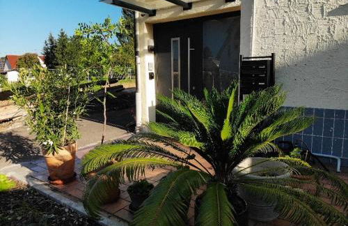 Modernes Studio mit separater Küche - Foto 13