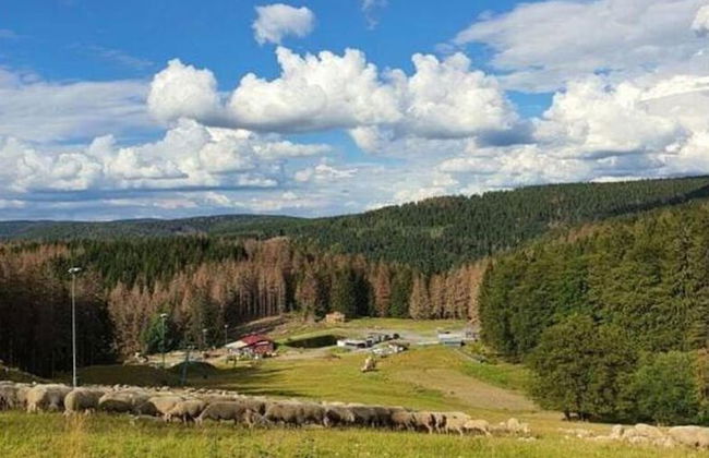 Ferienhaus im Thuringer Wald - Photo 28