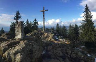 Quellenhof Kollnburg - Foto 11