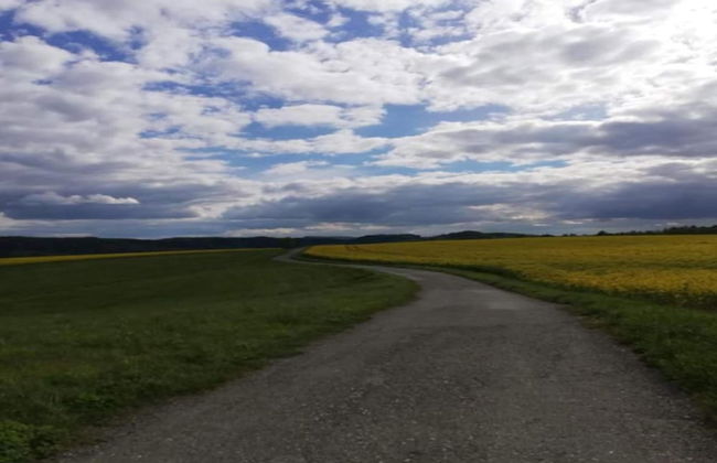 Terrassen-retreat in Sachsen - Foto 39