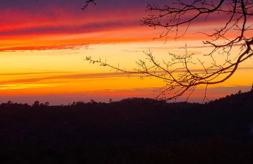 Yosemite Foothill Retreat - Private Guest Suite #3 - Foto 32