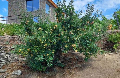 Quinta do Casal Bystol, Casa 1 - Photo 9