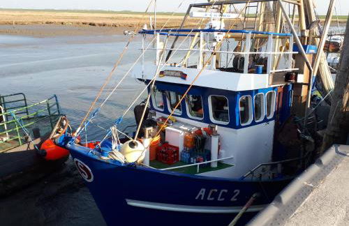 Grosszügige Wohnung für 4 Personen in Ostfriesland mit E- Ladesäule - Photo 14