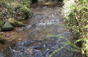 holidayhome Heidelberg - Foto 6