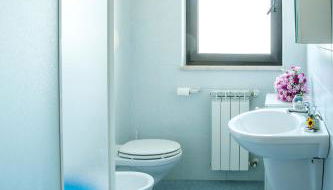 Ficus Pineto Vacanza - Foto 4