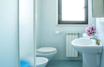 Ficus Pineto Vacanza - Foto 4