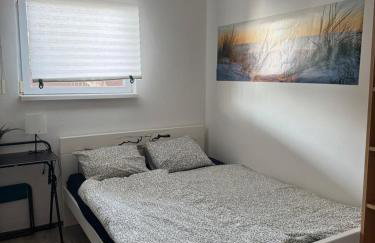 Salty Paws Medveja - Foto 8