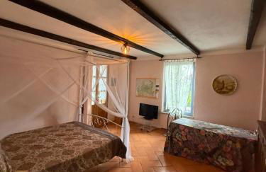 Casa Clara Gartenwohnung nahe Lago Maggiore - Foto 4