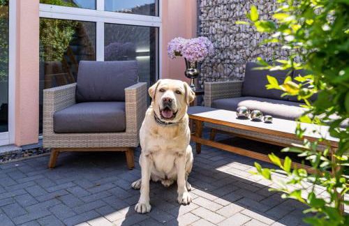 Ferienanlage Serams - Stilvolle Studio- Apartments nahe Binz - Foto 15