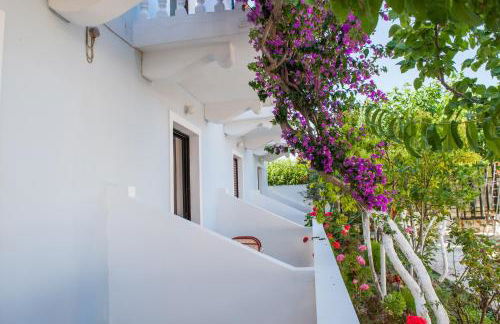 Dina Studios - Photo 49