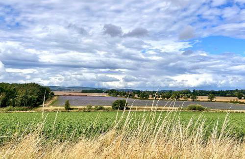 2 Swinton Mill Farm Cottage - Foto 14