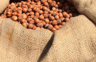 Sangrato 1883 - Foto 35