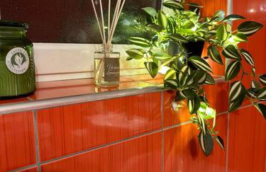 Apartman Šegetin - Foto 30