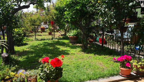 Il nido dei Gabbiani - Photo 2, Garden