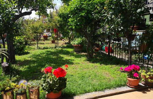 Il nido dei Gabbiani - Photo 2