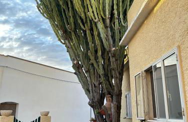 Casa Euphorbia - Foto 23