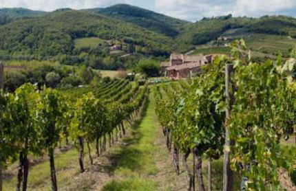 Casa Malù near Chianti - Foto 58