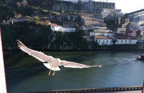 Red House by the River - Foto 1