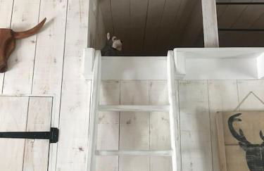 Charmant gîte cosy et romantique à Sanguinet - Foto 37