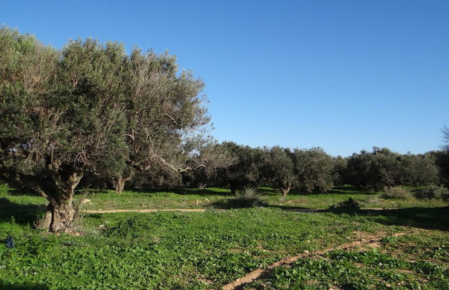 Residence Stern - Foto 44