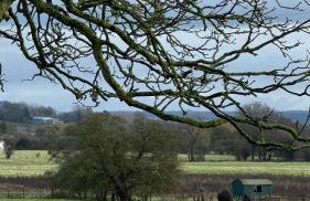 The TreeHouse Hideaway - Foto 23