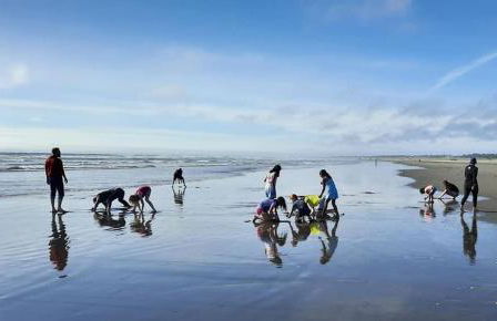 Seascapes Cottage 1-Bed by the Sea w fireplace - Foto 28