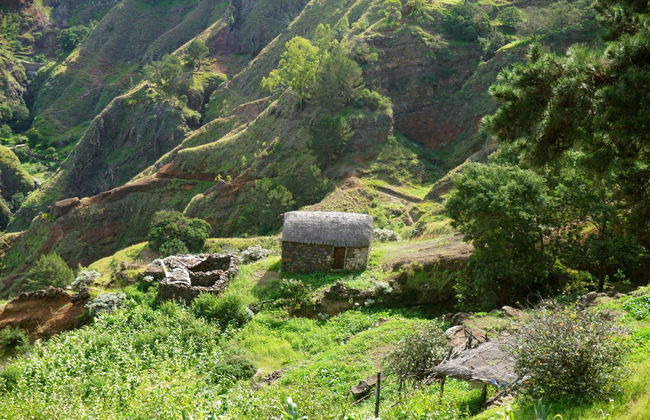 Corda, Coculi & Figueiral de Cima Excursion - Photo 2