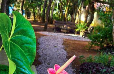 Casa de Miguel - Foto 15