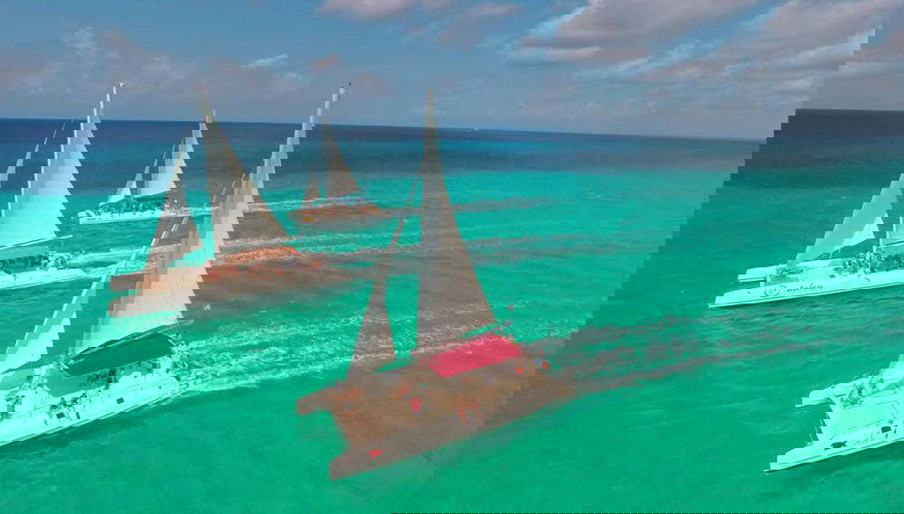 Saona Island Boat Trip - Foto 1