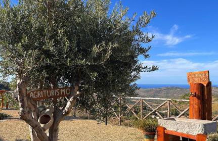 Agriturismo Dispenza - Foto 104