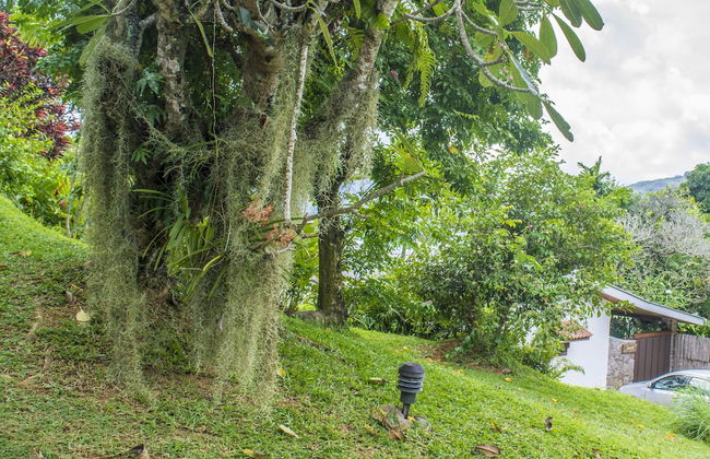 Anse Soleil Resort Self Catering - Photo 24