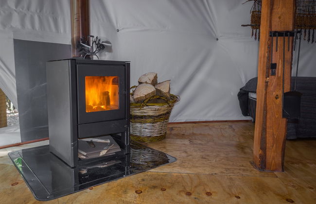 Cabañas Ensenada Bosque Nativo - Foto 6