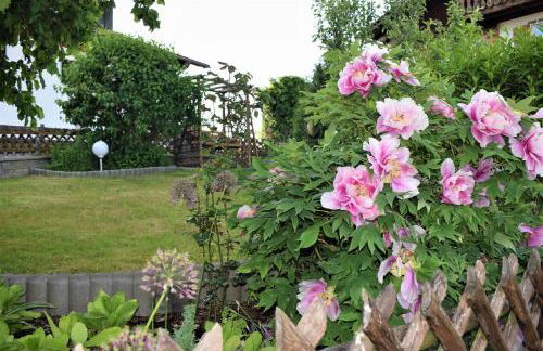 Landhaus Senn - Foto 16