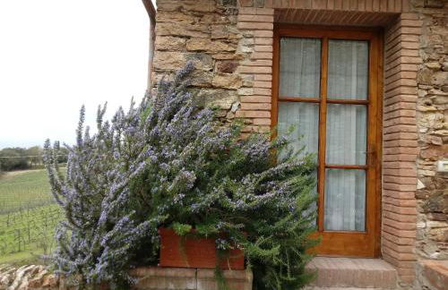 Agriturismo Villa Buoninsegna - Foto 18