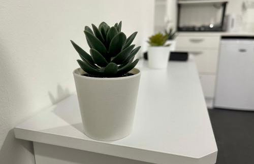 Wisteria Studio - Foto 14