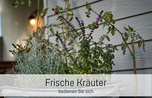 RamosHansenHof Fewo Hofglück 4Pers mit Hund - Foto 12