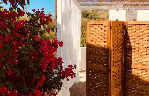 Cloudberry - Photo 12