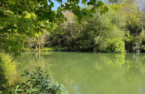 Sunridge Fishing Lodge with Hot Tub & Giant Cinema - Foto 74