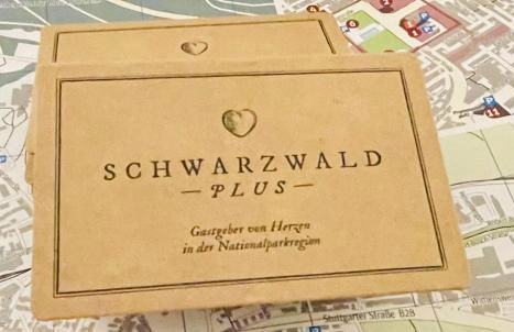 Haus Jenni im Schwarzwald, 3,5-Zimmer, große Terrasse - Foto 22